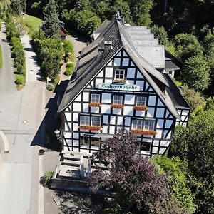 Hotel&Gasthof Hubertushöhe - Ihr Hotel für Urlaub mit Hund